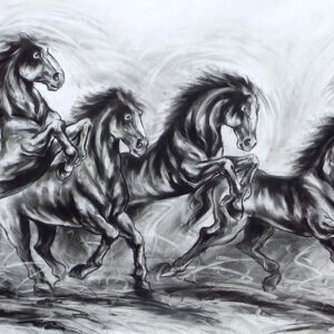 Drawing of Horses with charcoal on paper