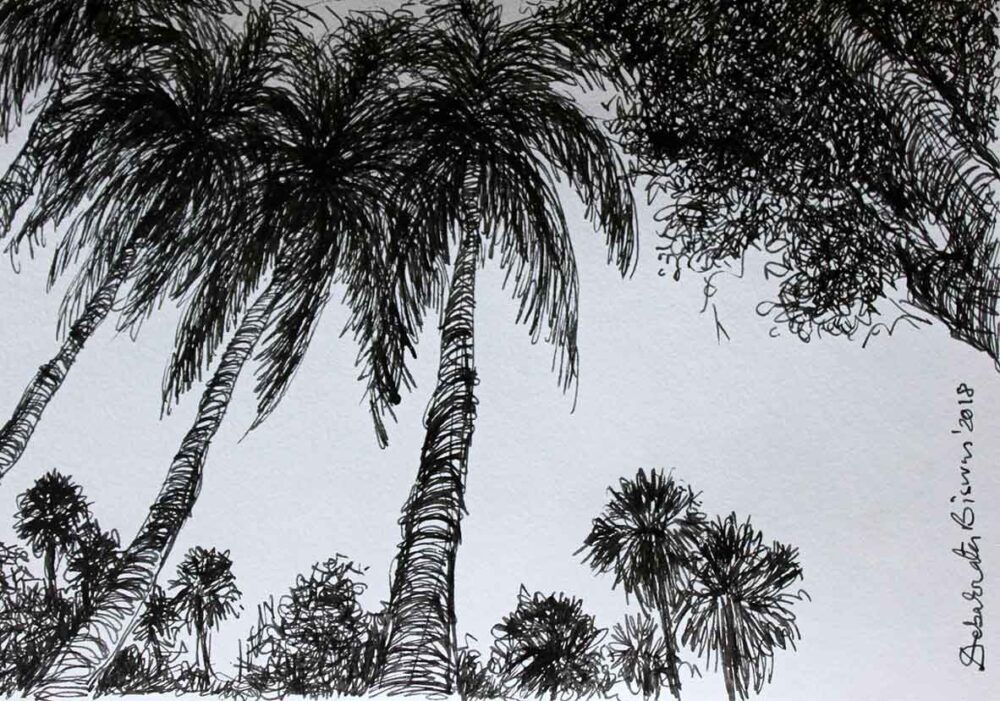Sketch of rural landscape with pen and ink on paper
