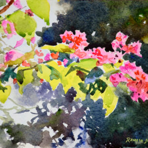 Bougainvillea [5 X 7 inches] SOLD