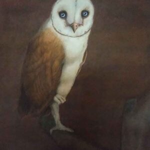 Painting of owl on paper