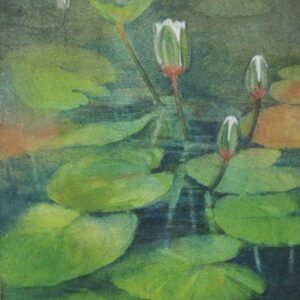 Painting of lotus pond on paper