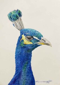 Painting of bird on paper
