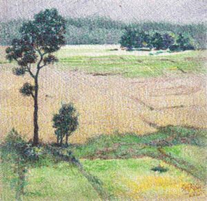 Painting of fields with ball point on paper