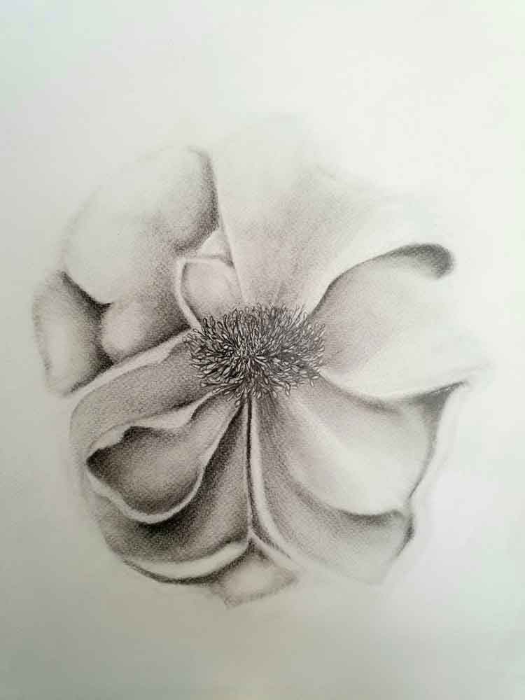 Abstract art with graphite on paper