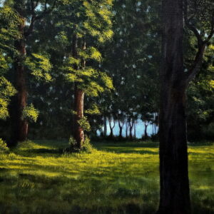 Morning Rays 2 [ 24 X 30 inches ]