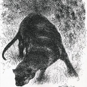 Painting of beast with pen and ink on paper