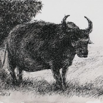 Painting of animal with pen and ink on paper